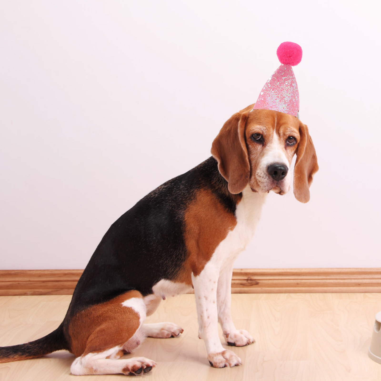 10Pcs Pet Birthday Party Hat f - Party Hat Cone 리뷰 및 가격